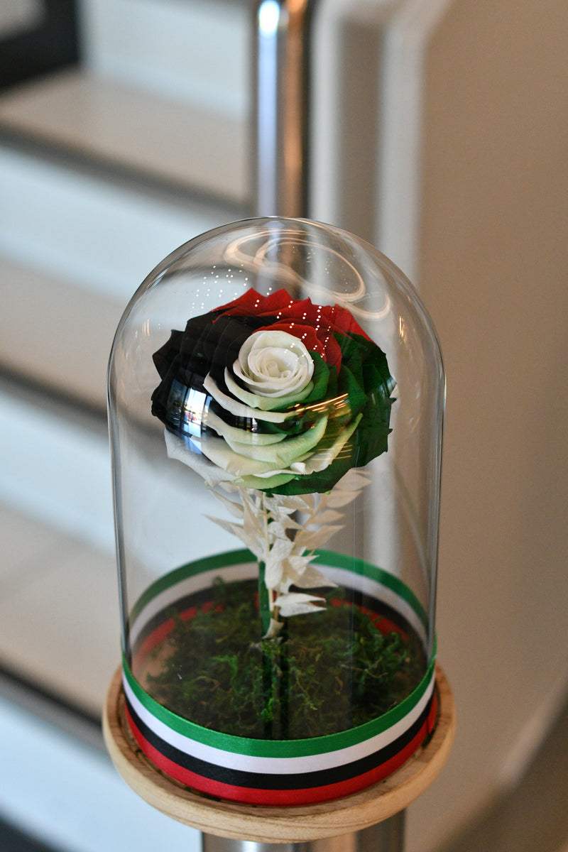 UAE National Day Infinity Rose  - Long Lasting Forever Rose