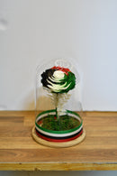 UAE National Day Infinity Rose - Long Lasting Forever Rose
