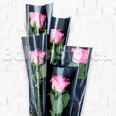 Single Sleeve Wrapped Pink Rose