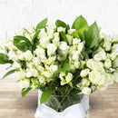 Purity MiniRoses on a Glass Vase