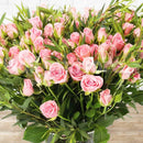 Pinkie Pie MiniRoses on a Glass Vase