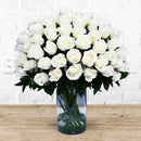 Purity White Roses on a Glass Vase - roses for valentines Dubai