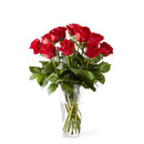 Dozen of Love Red Roses Fresh Flower Arrangement on a Glass Vase - valentines flowers