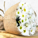 Mini White Chrysanthemum Daisy Fresh Flower Hand Bouquet