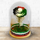 UAE National Day Infinity Rose - Long Lasting Forever Rose