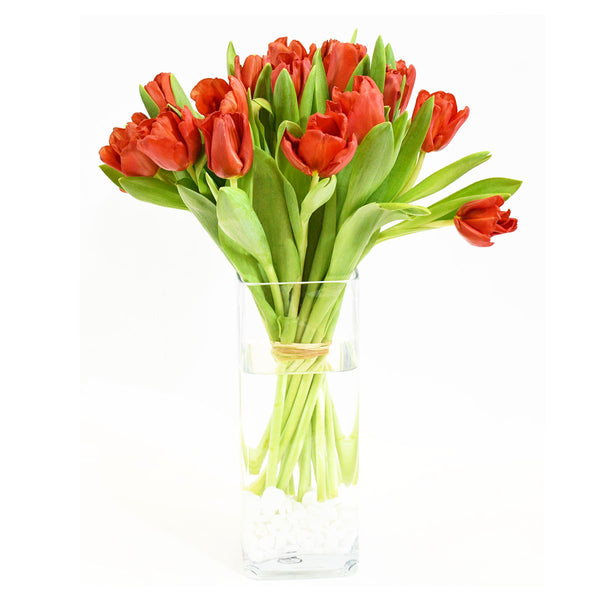 Red Tulips Expression