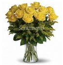 12 Yellow Roses