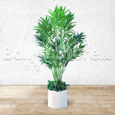 Artificial Kentia Palm - Home / Office Decor
