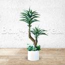 Artificial Yucca Plant - Home / Office Decor