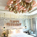 Princess Party Small Set-Up Party Package - 40Helium and Banner