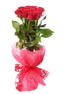Beloved -12 Roses
