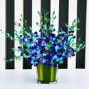 Bloomy Blue Orchid on a Glass Vase