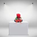 Infinity Rose Red Small Glass Dome
