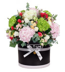 Mixed Hydrangea