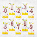RoseGold Number Party Candles - PLEASE SELECT NUMBER