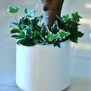 Artificial Yucca Plant - Home / Office Decor