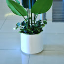 Artificial Strelitzia Palm (Birds of Paradise) - Home / Office Decor