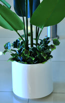 Artificial Strelitzia Palm (Birds of Paradise) - Home / Office Decor