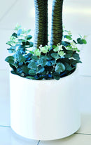 Artificial Draecena Massangeana - Home / Office Decor