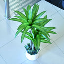Artificial Draecena Massangeana - Home / Office Decor