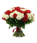 Red and White Roses