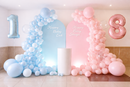 Twins Birthday Balloon Garland With Backdrop