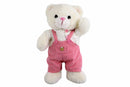 Baby Girl Teddy Bear