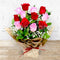 12 Mixed Pink &  Red Roses Simple Arrangement