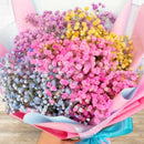 Colorful Gypsophila Mini Hand Bouquet