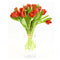 Red Tulips Expression