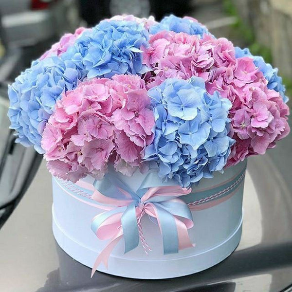 Pink & Blue Hydrangea With White Box