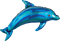Ocean Blue Dolphin