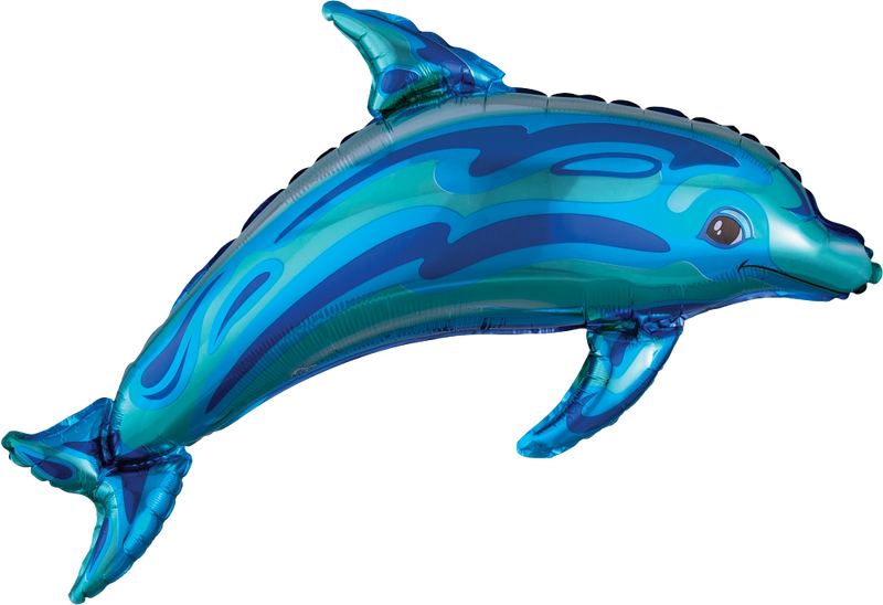 Ocean Blue Dolphin