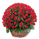 100 Red Roses A Gift Of Love
