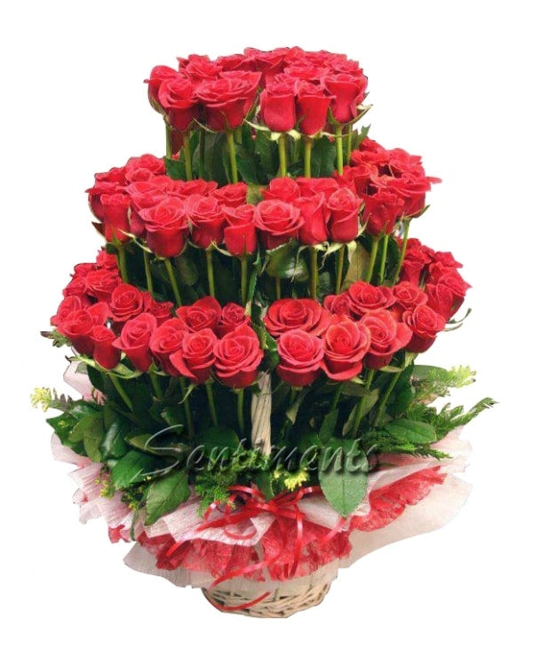 101 Stems - Premium Red Roses