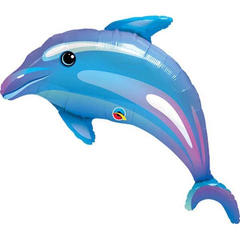 Delightful Dolphin- Blue