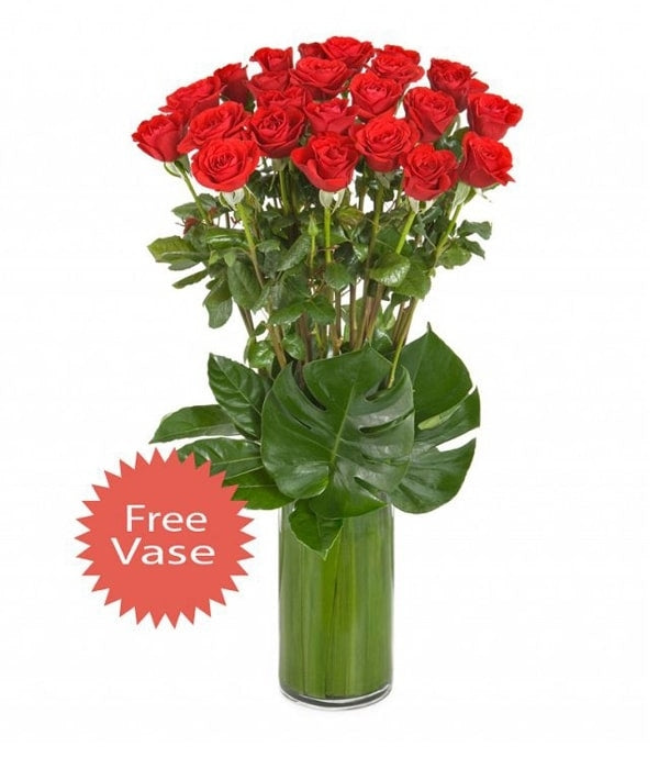 24 Long Stem Red Roses