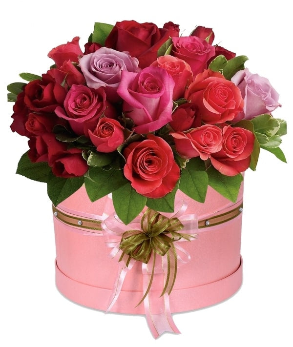 24 Roses Dazzling Romance