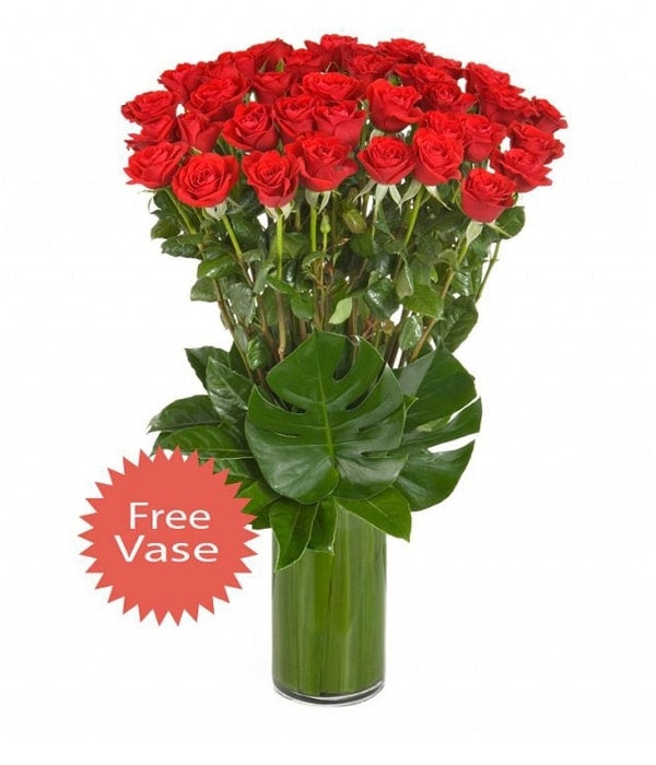 36 Long Stem Red Roses in a Glass Vase