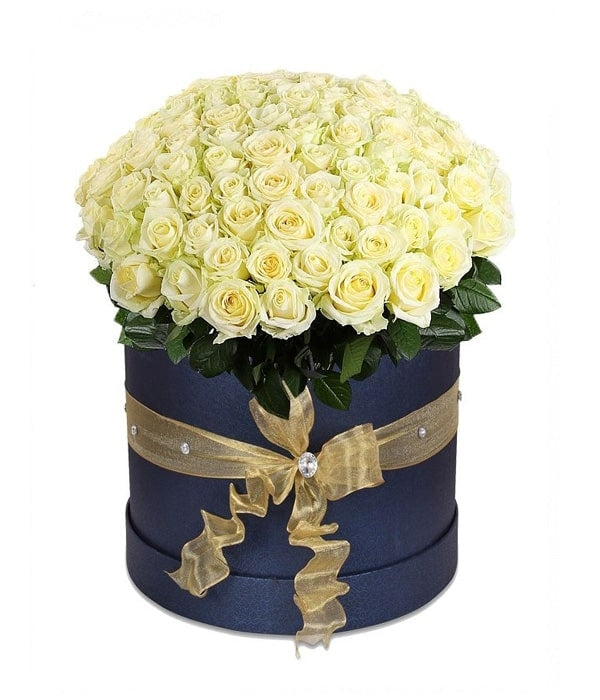 50 White Rose Box