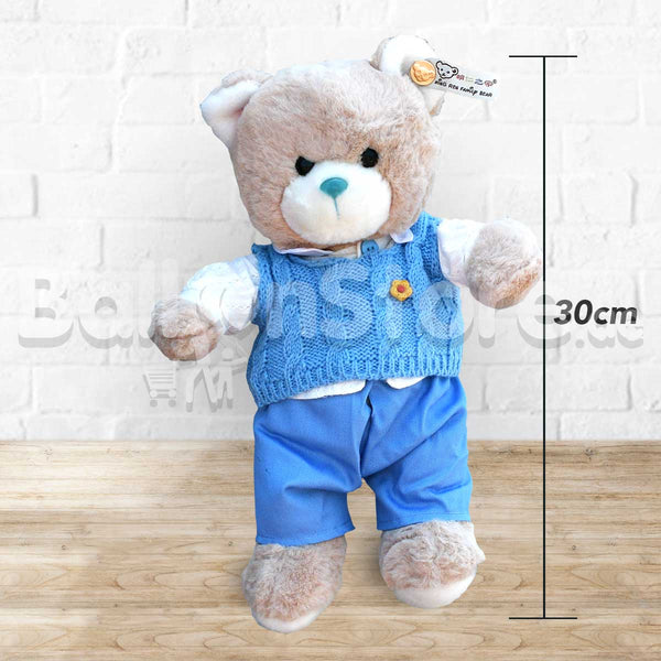 Baby Blue Teddy Bear Dress up