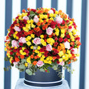 Have a Wonderful Day Fresh Flowers  Arrangement