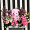 Rosey Pink Teddy on a Acrylic Tray Flower Arrangement