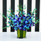 Bloomy  Blue  Orchid on a Glass Vase