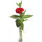 Red Rose on a Glass Vase