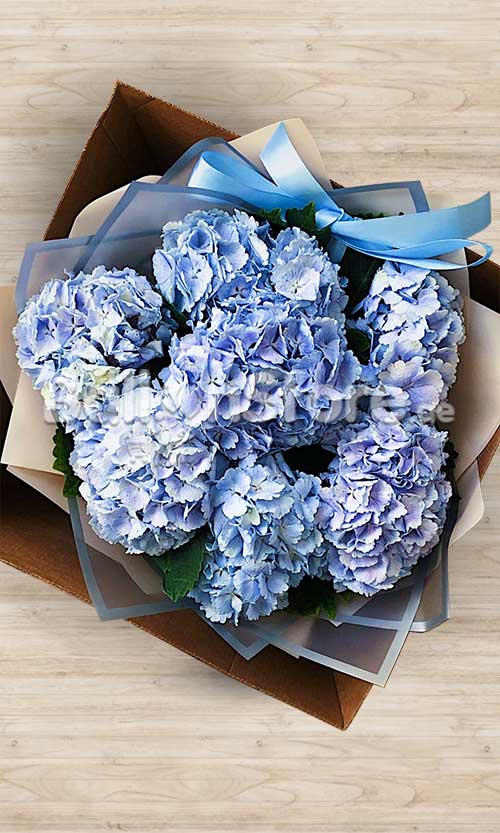 Pluffy Blue Hydrangea Hand Bouquet
