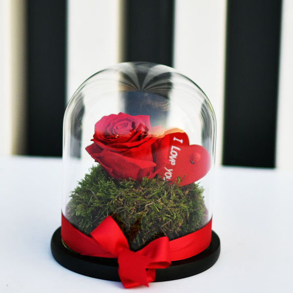 Cutie Red Infinity Rose - Long Lasting Forever Rose