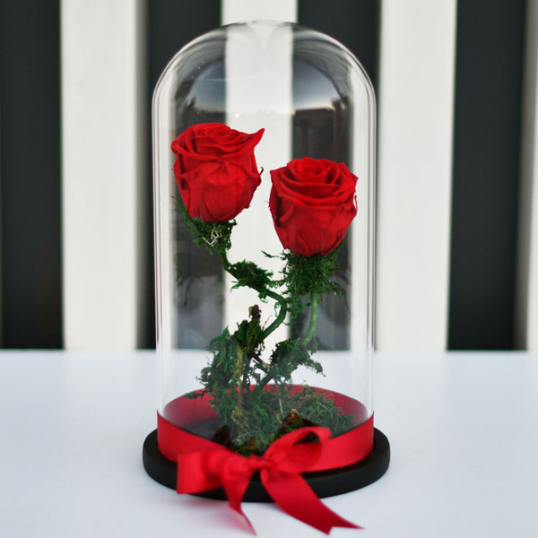 Double Love Red Infinity Rose - Long Lasting Forever Rose