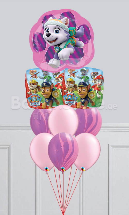 Paw Patrol Girls Skye & Everest Agate Balloon Bouquet